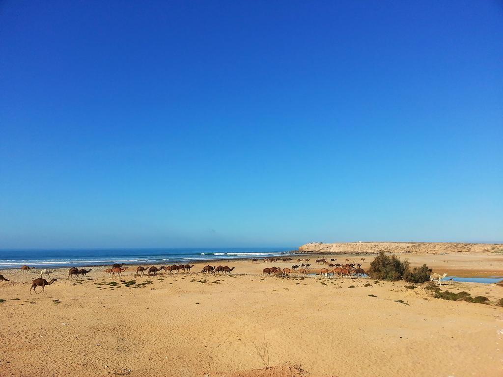 Zen Surf Beach House Hotel Aourir Esterno foto